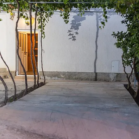Dražena * Trogir